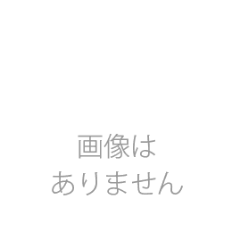 Planet極　低添加微粒子マット　10L