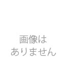 【WF1】フィリピンヒラタクワガタ(テイオウ型)幼虫　3頭セット