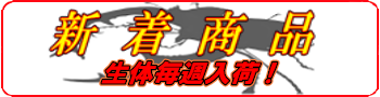 クリックすると全ての商品が新着順に表示されます