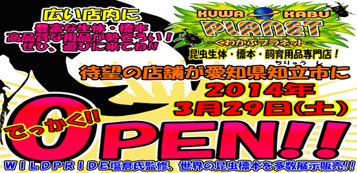愛知県知立(ちりゅう)市に県下最大級規模の昆虫ショップOPEN!