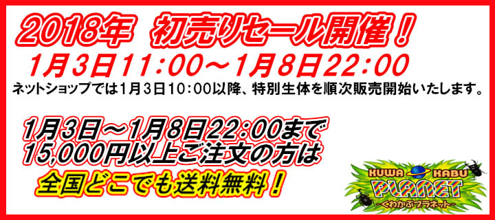 くわプラ ゴールデンウィークスペシャルセール開催!