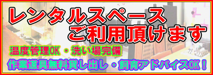 温度管理の手間がいらないレンタルスペースご利用頂けます!