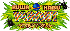 安心素材産卵木:くわかぶプラネット